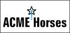 View my horses at ACME Horses - www.acmehorses.com